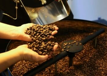 Exportação de café do Brasil cai em 2025, mas bate recorde em receita