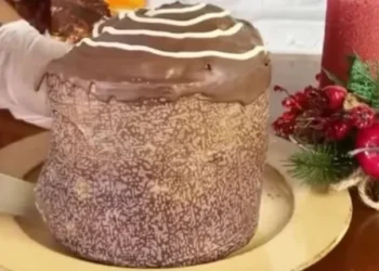 panetone-chocotone-fungos