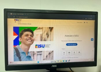 sisu