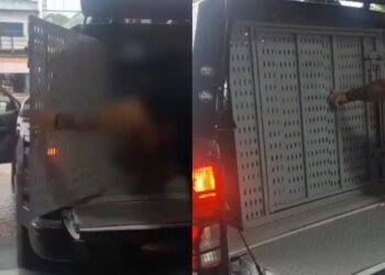 violenciasexualpsicologica