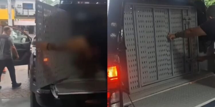 violenciasexualpsicologica