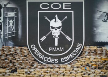 apreensão dos entorpecentes