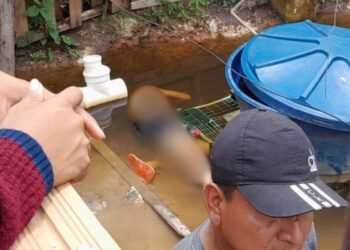 Corpo é encontrado em poça d’água no Tarumã