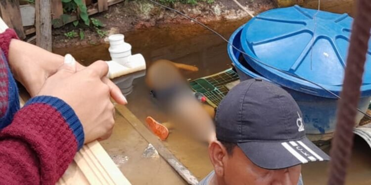 Corpo é encontrado em poça d’água no Tarumã