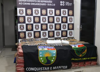 Droga apreendida durante operação - (Foto: Tunico Santos/Rios de Notícias)