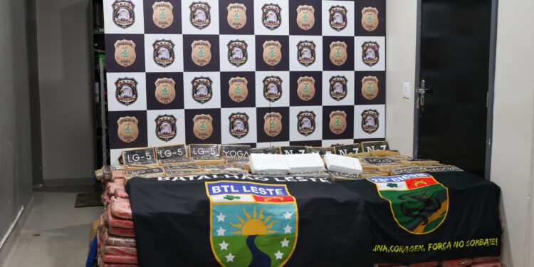 Droga apreendida durante operação - (Foto: Tunico Santos/Rios de Notícias)