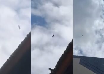 Momento de tensão: salto de paraquedas termina com susto em Manaus, mas sem feridos