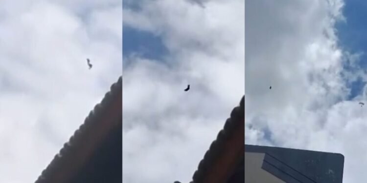 Momento de tensão: salto de paraquedas termina com susto em Manaus, mas sem feridos