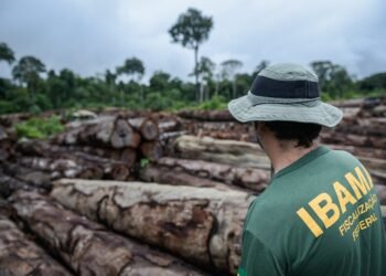 Ibama 37 anos: Amazônia tem queda histórica no desmatamento