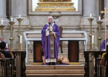 Dom Leonardo Steiner, cardeal e arcebispo de Manaus