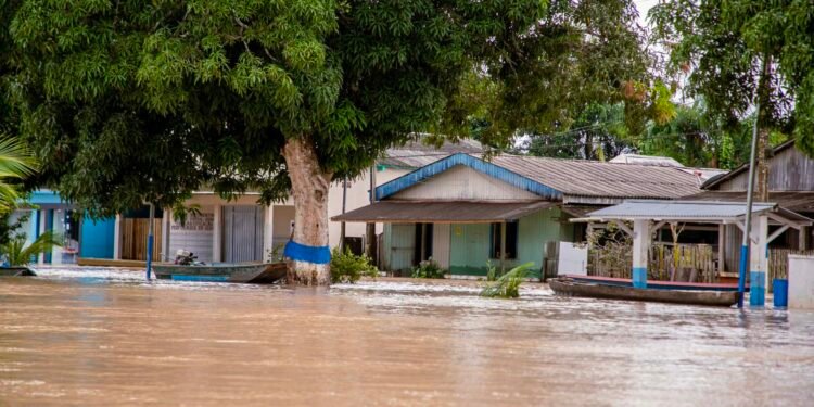 Cheia nos municípios da calha do rio Purus