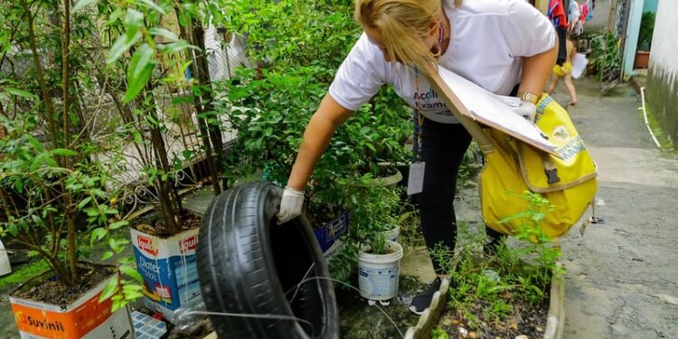 Inverno amazônico acende alerta para aumento de acidentes com animais peçonhentos em Manaus