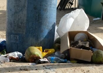 Converge Amazônia articula rede socioambiental colaborativa no AM