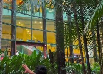 Influenciador viraliza ao mostrar floresta no interior de shopping em Manaus