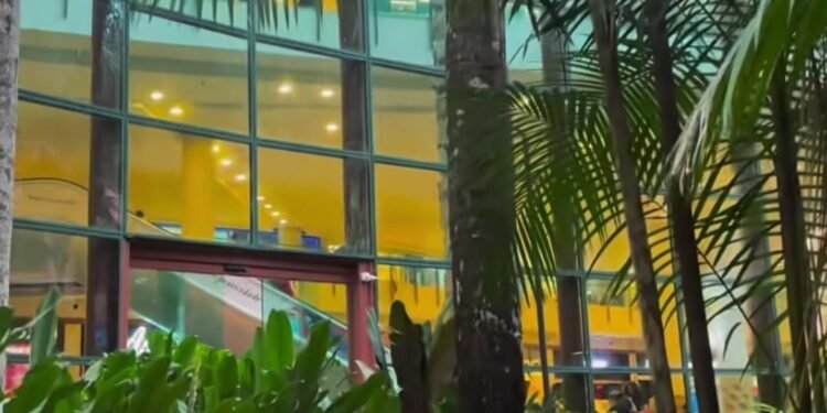 Influenciador viraliza ao mostrar floresta no interior de shopping em Manaus
