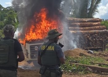 Ibama destrói dragas de garimpo ilegal no Rio Madeira e apreende caminhões em terras indígenas
