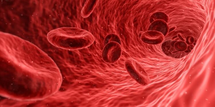 anemia-ferro