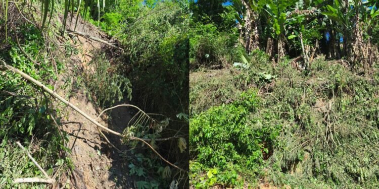 colonia antonio aleixo