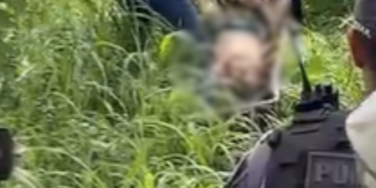 Corpo de vítima encontrado na área da mata - (Foto: Divuçgação/DEHS)