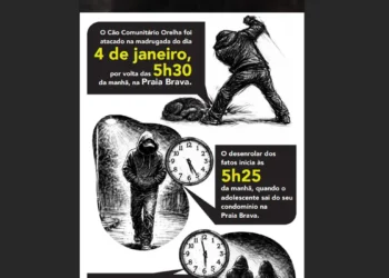 Cão Orelha: Polícia usa imagens e dados de celular para desvendar caso