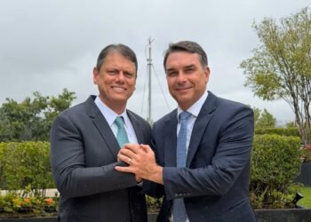 Flávio Bolsonaro publica foto com Tarcísio: ‘vamos fazer história juntos, não só em SP’