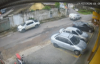 viatura-atropela-cachorros - Trim