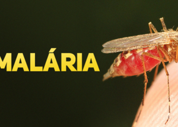 Capacitação reforça combate, diagnóstico e tratamento da malária na Amazônia