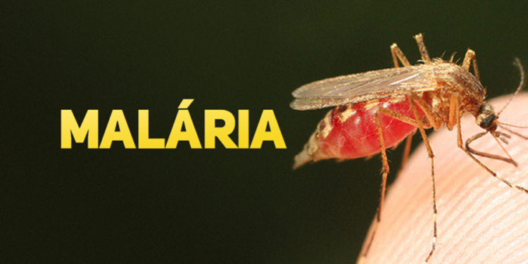 Capacitação reforça combate, diagnóstico e tratamento da malária na Amazônia