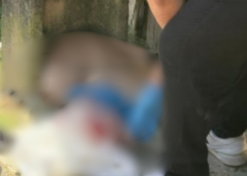 Bebê encontrada em sacola - Foto: (Reprodução/Internet)