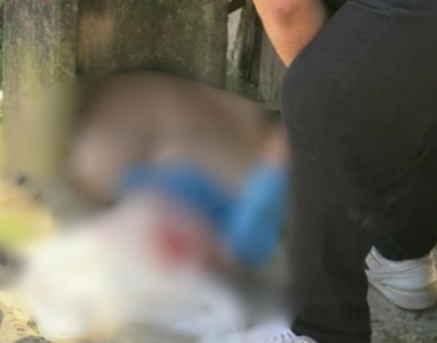 Bebê encontrada em sacola - Foto: (Reprodução/Internet)