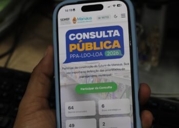 Consulta Pública