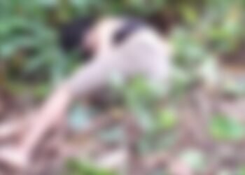 Corpo de jovem é encontrado em área de mata na zona Centro-Oeste