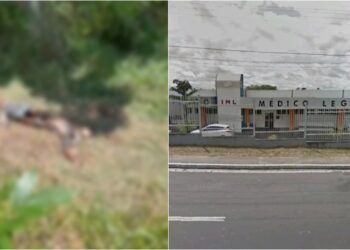 Corpo com sinais de violência é encontrado em área de mata no Distrito Industrial de Manaus