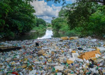Manaus ocupa 82ª posição e segue entre os piores em saneamento básico