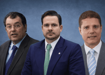 Montagem Senado Federal (1)