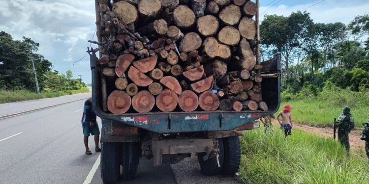 Operação do Ipaam aplica mais de R$ 22 mil em multas por crimes ambientais no AM