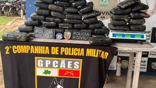 Com ajuda de cão farejador, polícia encontra 59 quilos de maconha enterrados em área de mata no AM