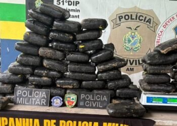Com ajuda de cão farejador, polícia encontra 59 quilos de maconha enterrados em área de mata no AM