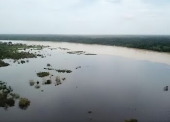 Cheia do Rio Purus leva MP a cobrar providências da Prefeitura de Lábrea e do Governo do Amazonas