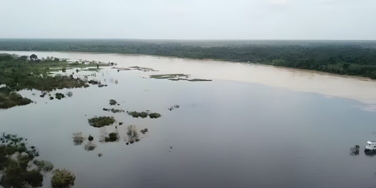 Cheia do Rio Purus leva MP a cobrar providências da Prefeitura de Lábrea e do Governo do Amazonas