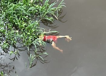 Moradores encontram corpo de mulher boiando em igarapé