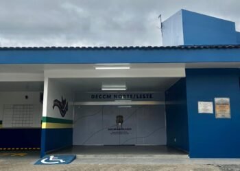 Delegacia Especializada em Crimes Contra a Mulher (DECCM) - (Foto: Divulgação/PC-AM)