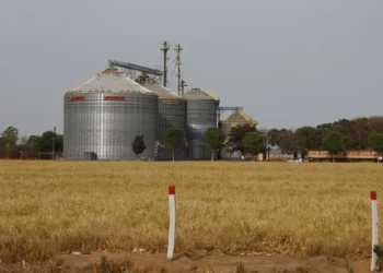 Brasil tem sexto maior crescimento no ranking das economias do G20