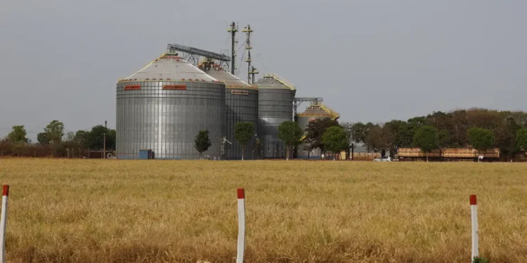 Brasil tem sexto maior crescimento no ranking das economias do G20