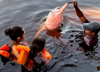 Insegurança é barreira para 62% das mulheres viajarem sozinhas