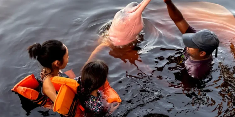 Insegurança é barreira para 62% das mulheres viajarem sozinhas