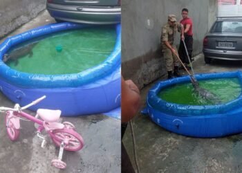 jacare-piscina-casa-manaus