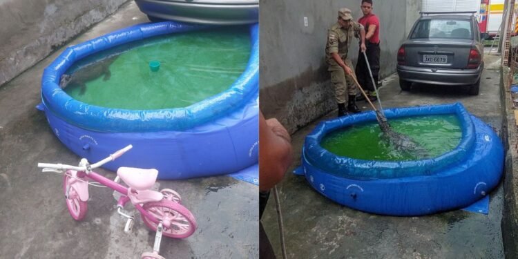 jacare-piscina-casa-manaus