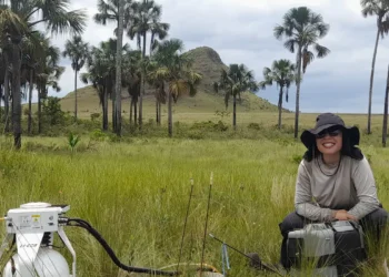 Estudo indica que Cerrado pode armazenar mais carbono que Amazônia