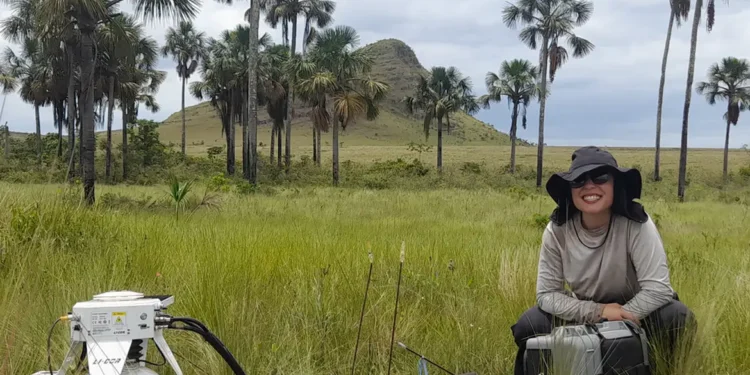 Estudo indica que Cerrado pode armazenar mais carbono que Amazônia